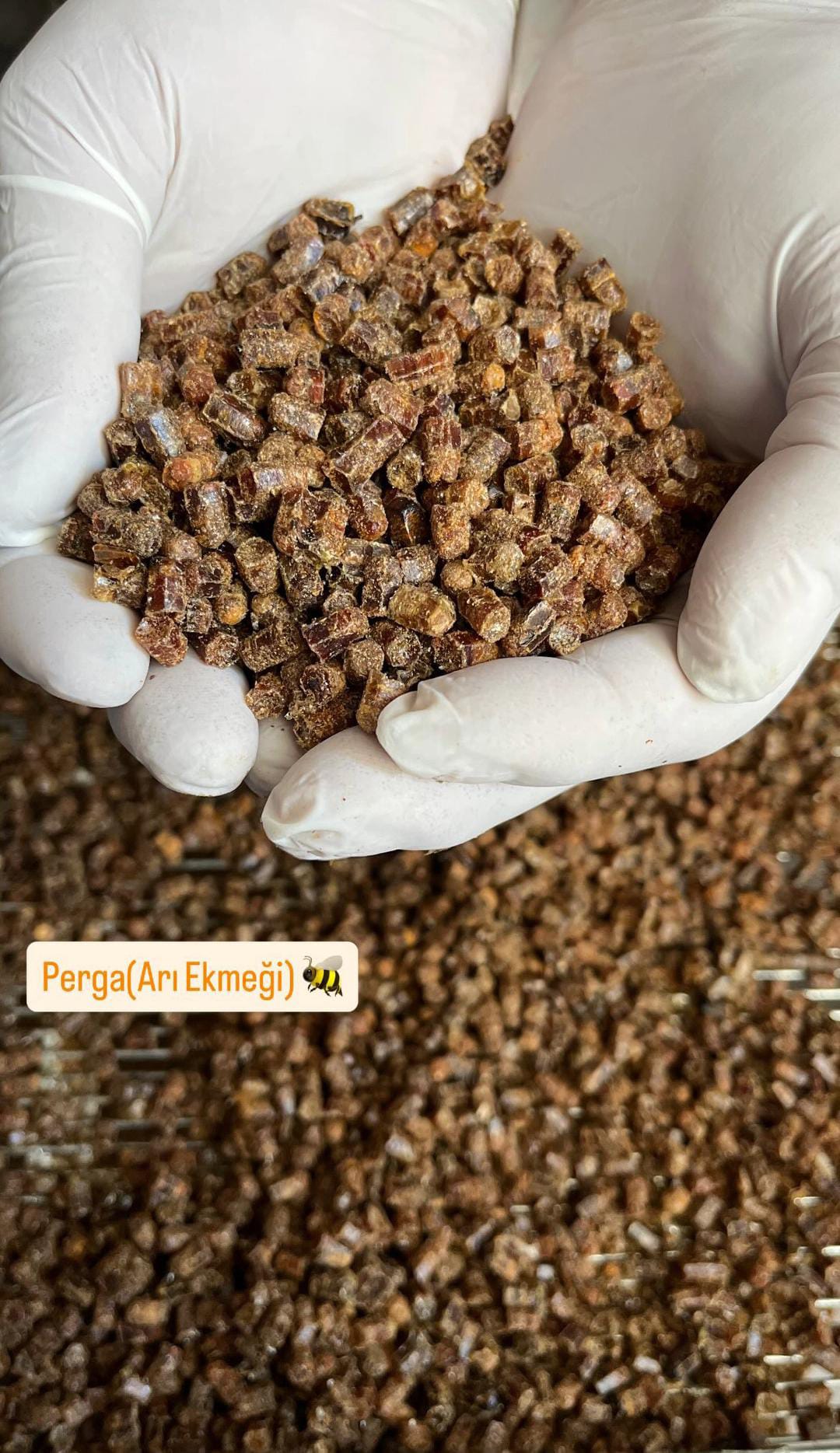 Fermanlı Arıcılık